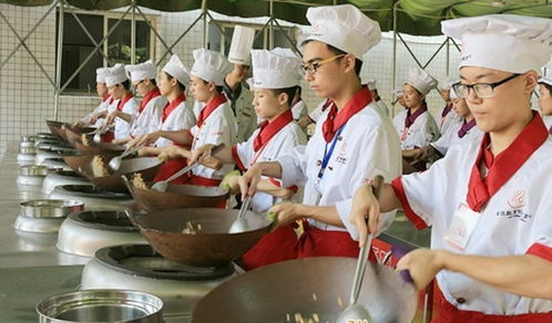 餐饮酒店管理培训指南 如何选择优质机构与合理规划学费